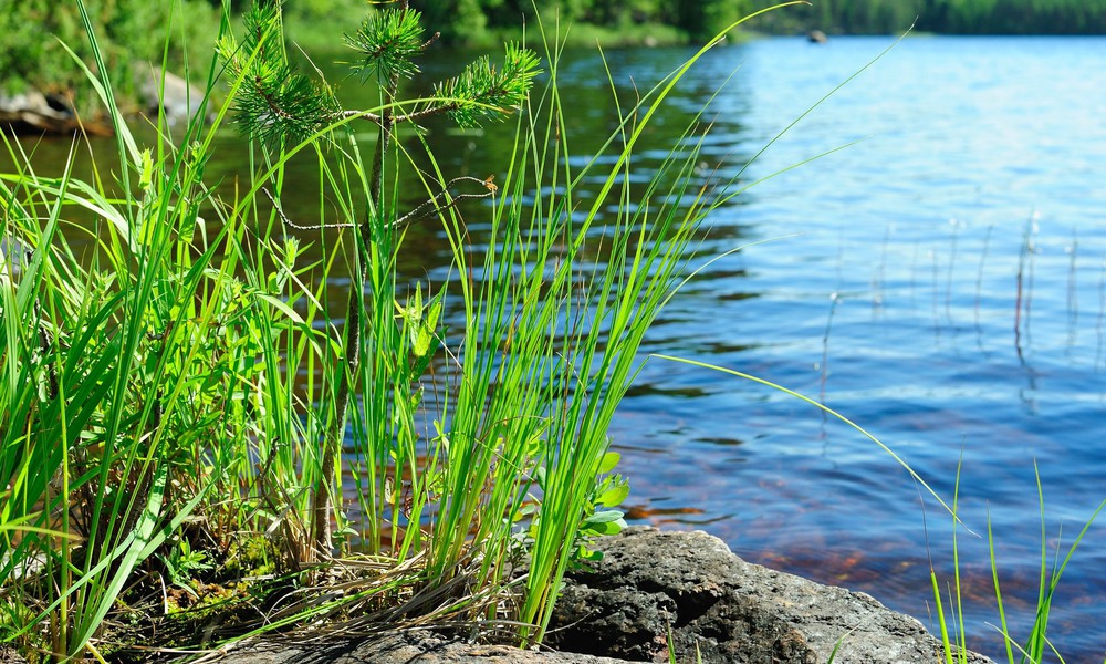 Pilotprojekt visar badtemperaturen på fyra badplatser i Tingsryds kommun